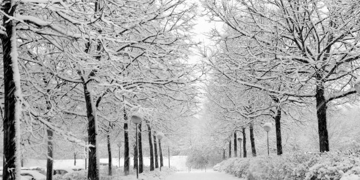 2560x1600 68+ Snow Desktop Wallpapers on WallpaperPlay