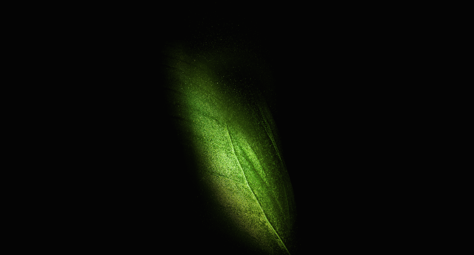 4000x2152 Wallpaper Samsung Galaxy Fold, Leaf, Green, Stock, 4K, Black/Dark