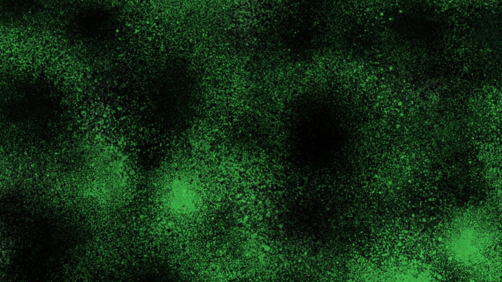 2560x1440 Download wallpaper 2560x1440 spots, black, green, dots widescreen 16