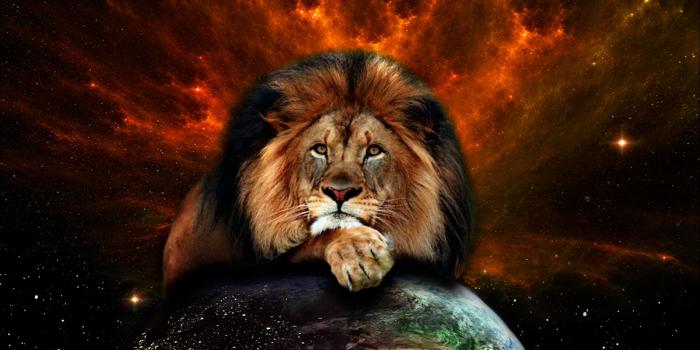 1600x1200 Lion Crown Wallpaper