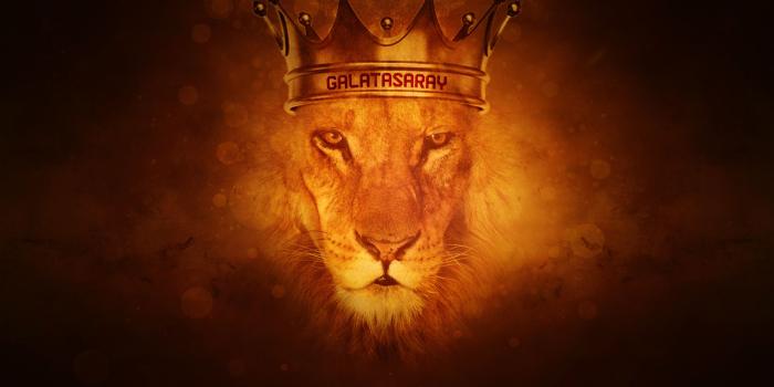 2560x1600 Lion of Judah Wallpapers (64+ images)