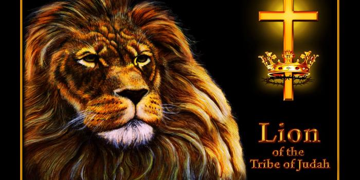 1600x1200 Lion Crown Wallpaper