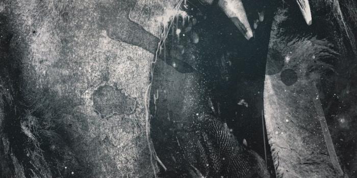 960x1600 Animals Artwork Lions Mobile Wallpaper - Mobiles Wall