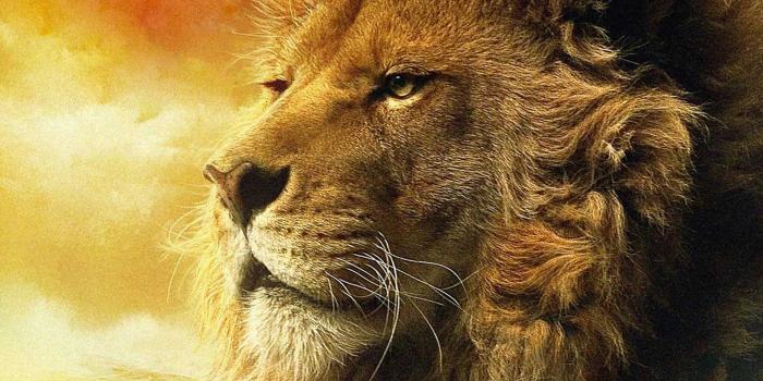 1919x1200 Narnia Wallpapers - Top Free Narnia Backgrounds - WallpaperAccess