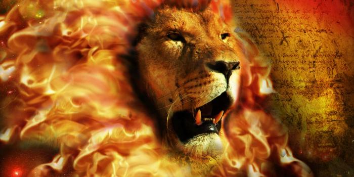 2000x1397 Lion with a crown wallpaper - messe-portal.info