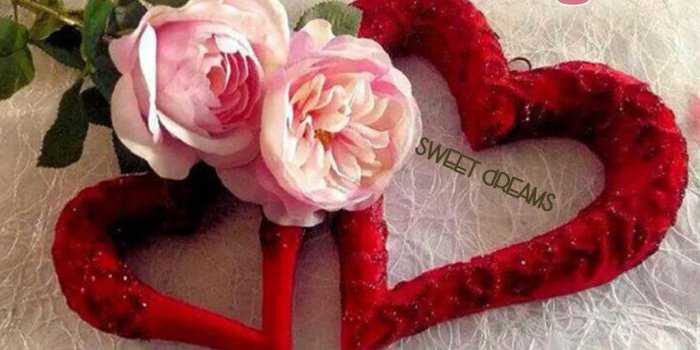 1024x768 Elias Habib on jjjjjj | Roses valentines day, Heart wallpaper