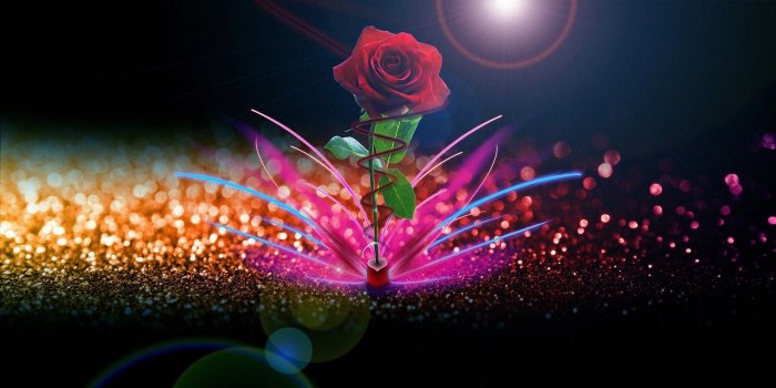 1920x1200 hoontoidly: Rose Love Wallpaper Good Night Images