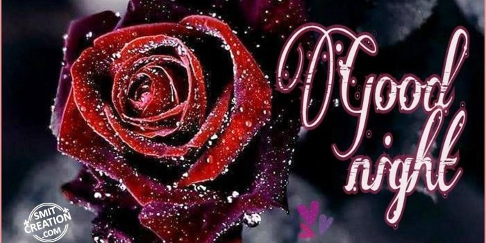 1417x1447 Good Night Heart: Good Night Heart Images And Wallpapers – Quotes of