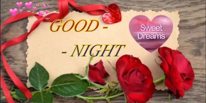 1280x720 Beautiful Good Night Rose Flower - Flowers Healthy