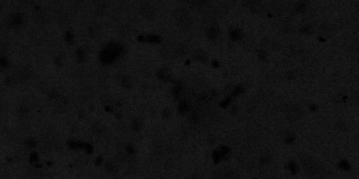 750x1334 Iphone 6 Wallpaper Hd Black And White - HomeCID