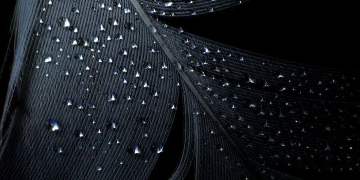 918x1632 Black iPhone 6 Plus Wallpapers - Top Free Black iPhone 6 Plus