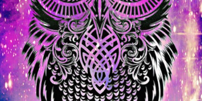 750x1334 Night Owl Hipster Wallpaper | Wallpaper in 2019 | Hipster wallpaper