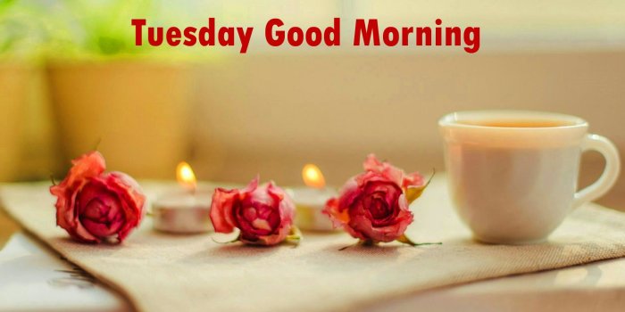 1578x981 Tuesday Good Morning Images Wallpaper Photo Pics Hd - Tuesday Good