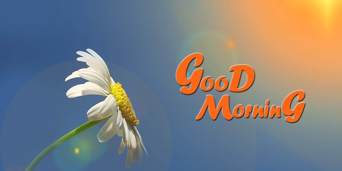 1920x1357 40 Beautiful Good Morning With Flowers Wishes Wallpapers