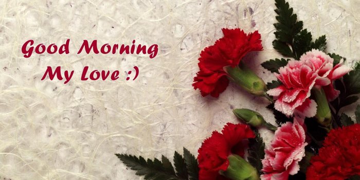 1680x1080 Good Morning Ka Wallpaper (37+) - HD Nice Wallpapers