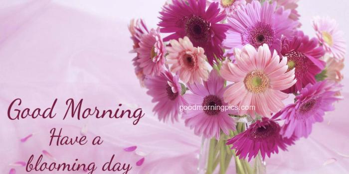 1600x1200 Good Morning Love Pics | goodmorningpics.com