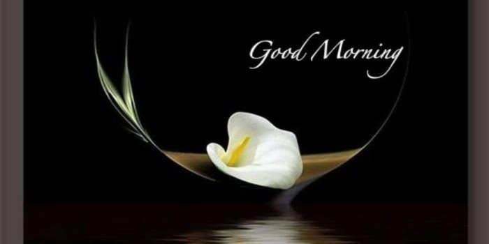 1024x768 Best Good Morning Images, Wallpapers & Quotes 2017 - All Tech Easy