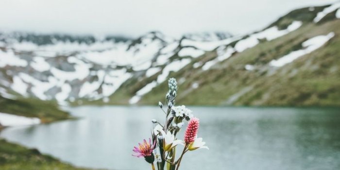 735x1102 Get on the Right Track | Morning | Good morning quotes, Good morning