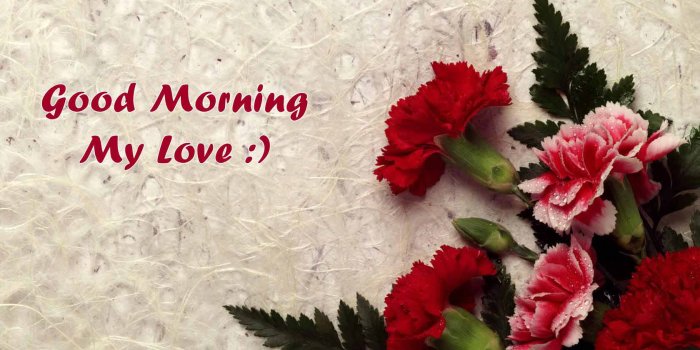 1680x1050 900x900px Good Morning My Love Backgrounds by Brook Wallis