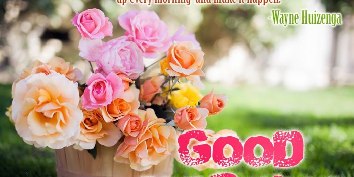 1024x768 Good Morning All Flowers Images | Roses Gallery