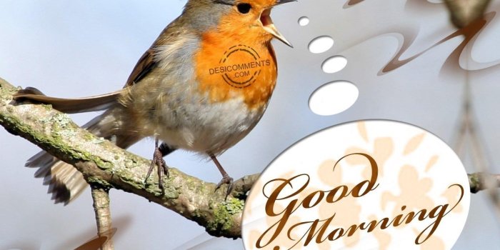 1280x990 Good Morning Pictures, Images, Graphics - Page 304