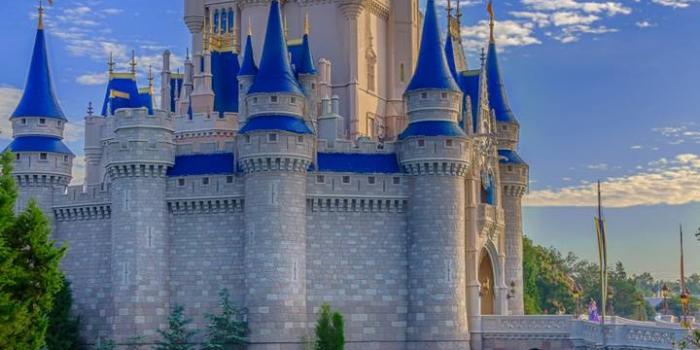 720x1280 Cinderella Castle Wallpaper by RentIsTooHigh - da - Free on ZEDGE™