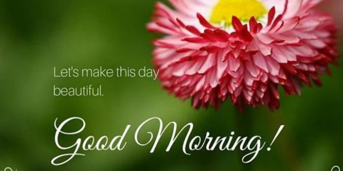 1280x731 Whatsapp Images HD | Download free HD images