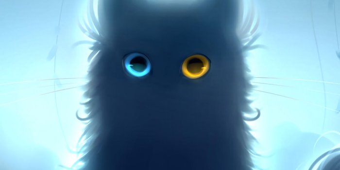 1440x2560 Download wallpaper 1440x2560 cat, heterochromia, black cat, art qhd