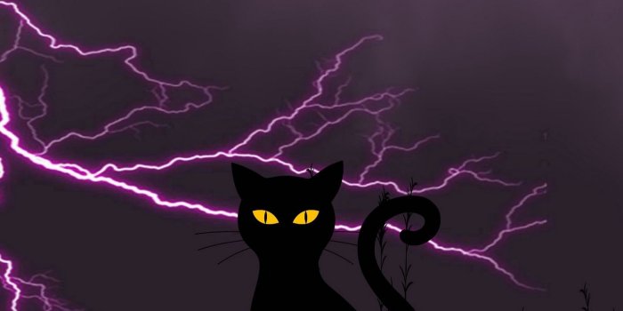 1440x2560 Download wallpaper 1440x2560 black cat, lightning, art, grass, night