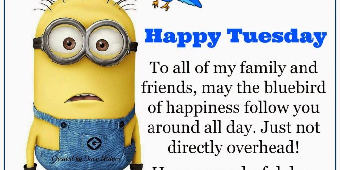 1600x1251 Daveswordsofwisdom.com: Have a Happy Tuesday. | lynns | Funny good
