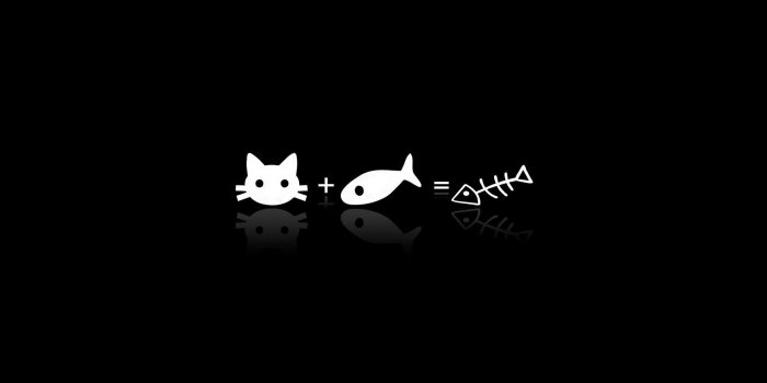 1920x1200 Cute cat cartoon Galaxy S Wallpapers Curiosities Giggles 1920x1200