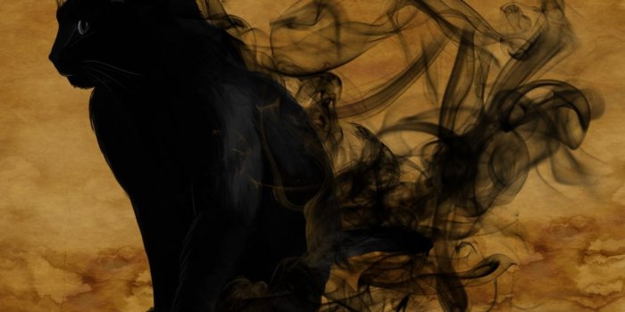 1280x1280 Halloween Black Cat ❤ 4K HD Desktop Wallpaper for 4K Ultra HD TV