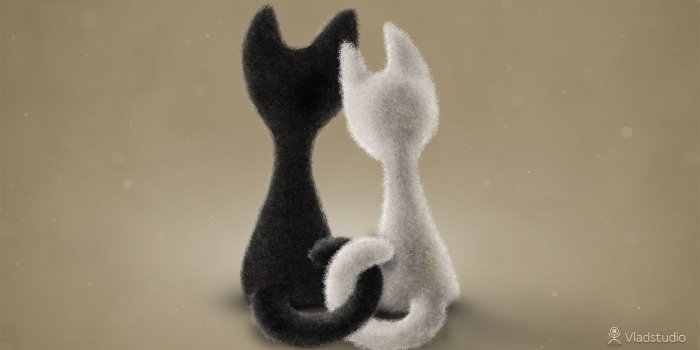 1280x720 Galaxy S3 Wallpaper - Black Cat White Cat - HD Wallpapers