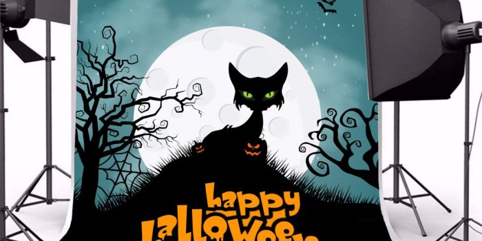 1252x1180 Amazon.com : Leyiyi 5x5ft Cartoon Halloween Backdrop Full Moon