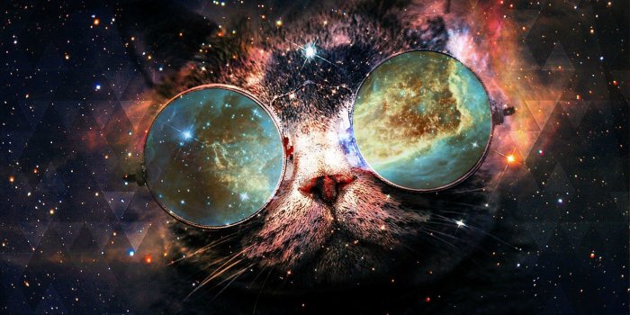 1920x1080 Galaxy Cat Wallpaper (69+ images)