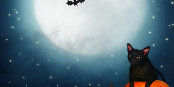 1134x1134 Amazon.com : Leyiyi 4x4ft Cartoon Halloween Backdrop Full Moon