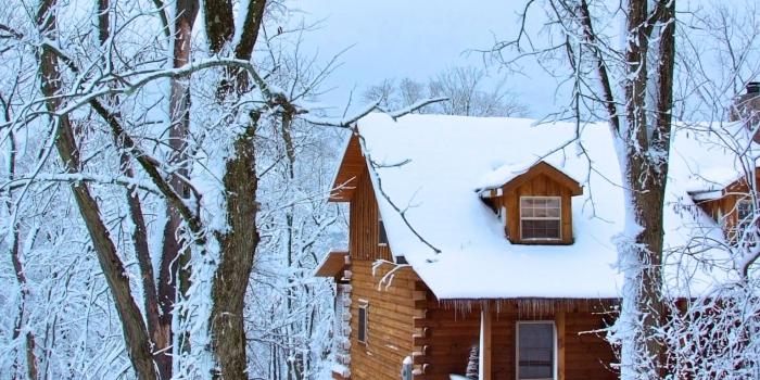 1536x2048 Free download Winter Log Cabin Cabin winter [4256x2848] for your