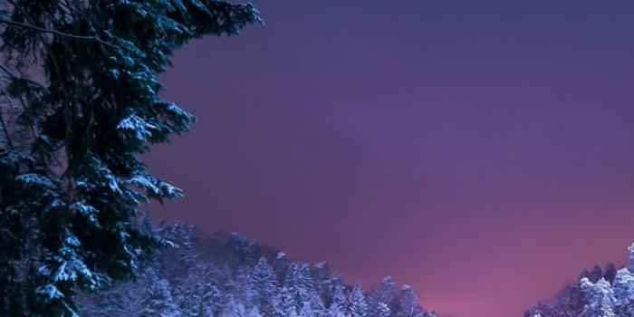 720x1280 Wilderness, Nightscape, Tree, Log Cabin, Snow HD Wallpaper for