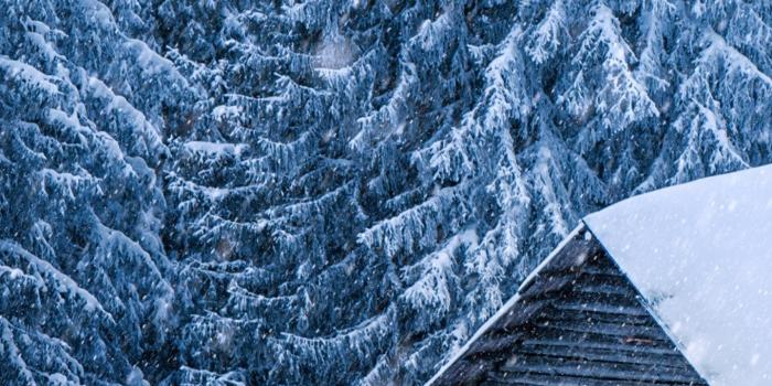 1440x2960 Nature Hut Forest Snow Winter Trees Cabin Wallpapers Desktop Background