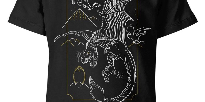 1600x1600 Harry Potter T-Shirt Enfant Dessin au Trait Dragon - Harry Potter - Noir -  3-4 ans - Noir