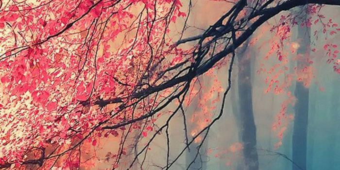 720x1280 Fantasy Natural Lock Screen 720x1280 Samsung Galaxy Note 2