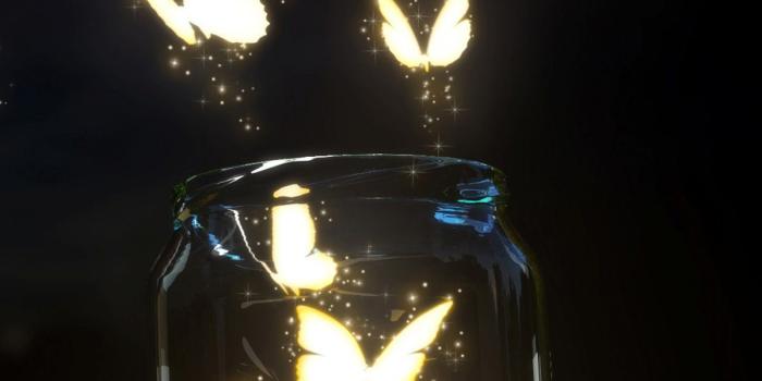 1600x2844 Beautiful Lock Screen Wallpapers - Photography Wallpapers For Iphone