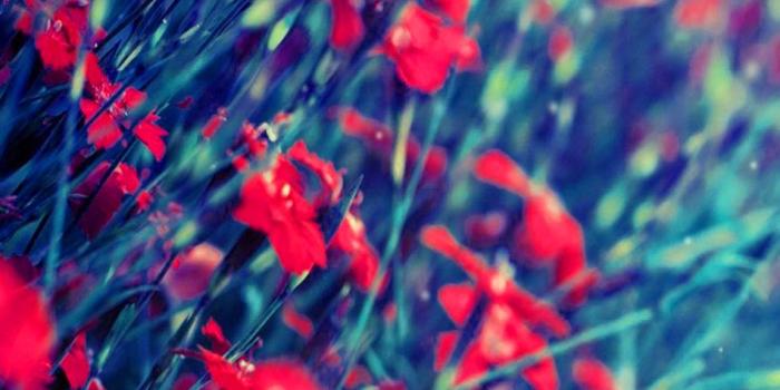 950x1520 Beautiful Mobile Photo Pictures Wallpaper Free Hd - Lock Screen