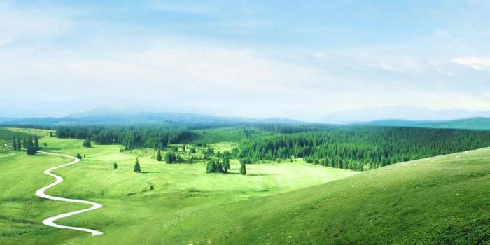 1440x2560 Beautiful Nature Lock Screen Samsung Galaxy S6 Wallpaper - Grass