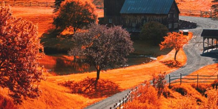 1080x1920 69+ Autumn Screen Wallpapers on WallpaperPlay