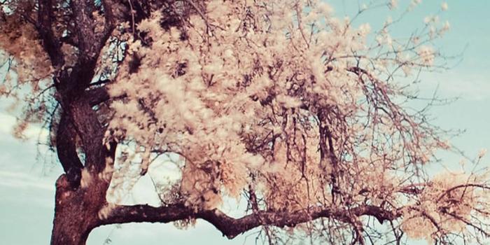 1080x1920 Lonely Bear Bench Gray Iphone 8 Wallpaper Download - Lock Screen