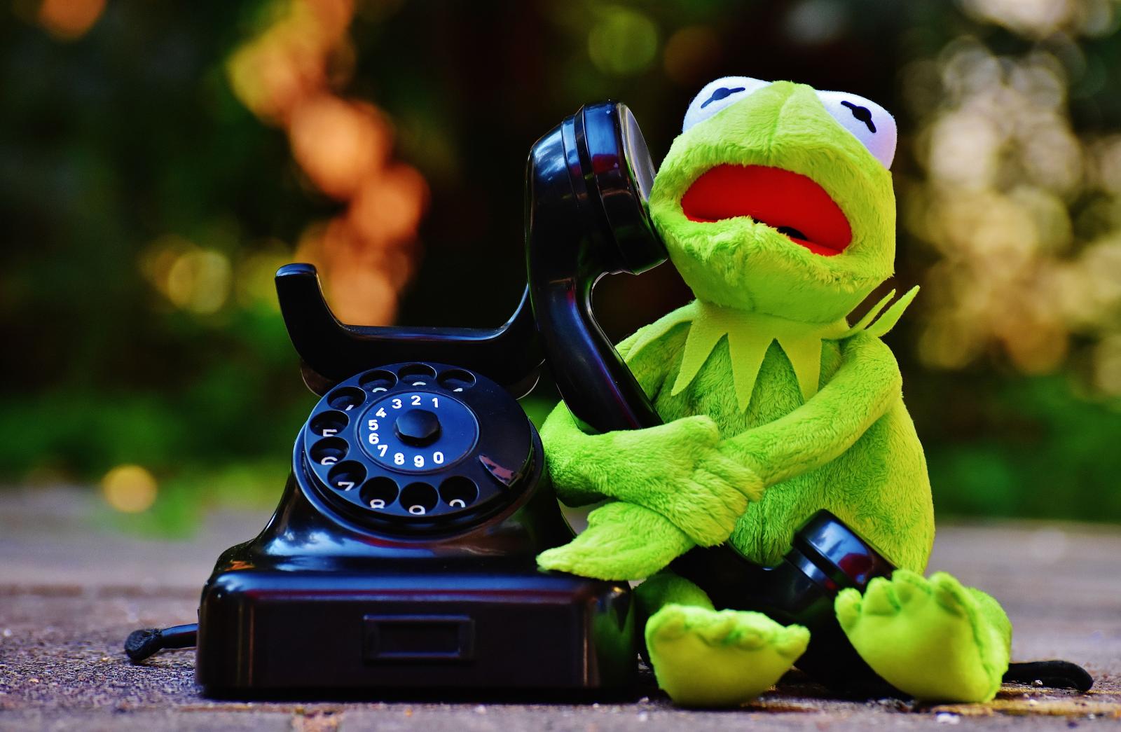 5912x3862 kermit the frog and rotary phone free image | Peakpx