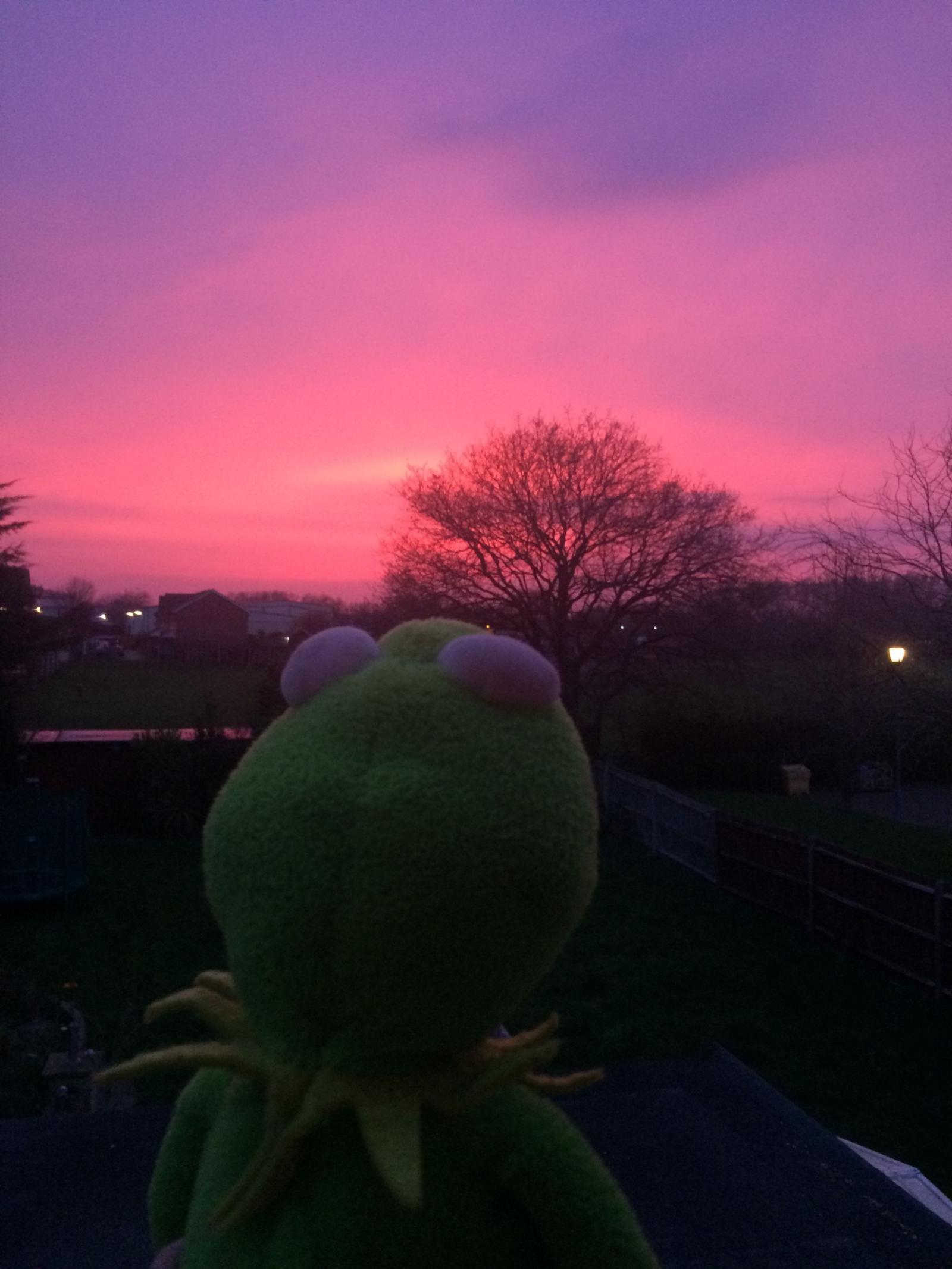 2448x3264 Kermit Aesthetic #kermit #kermitmeme #kermitaesthetic