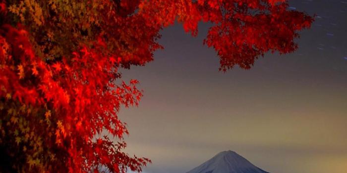 2160x1920 Natural Beauty Lock Screen 2160x1920 Samsung Galaxy S4 Wallpaper HD