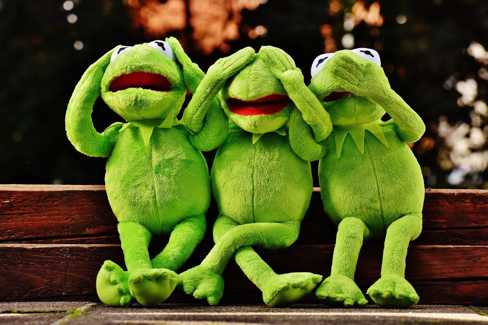 6000x4000 Three kermit frog plush toys on wooden surface HD wallpaper